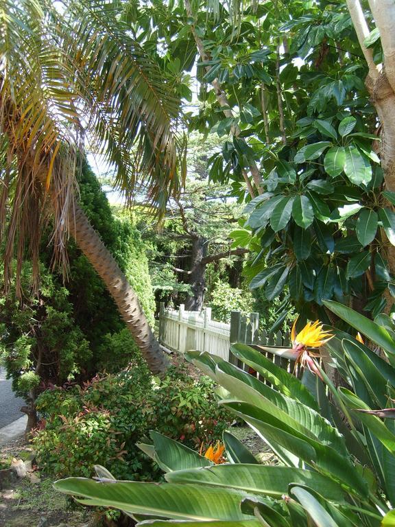Guest house Tantarra Guest House - Pet Friendly Warners Bay