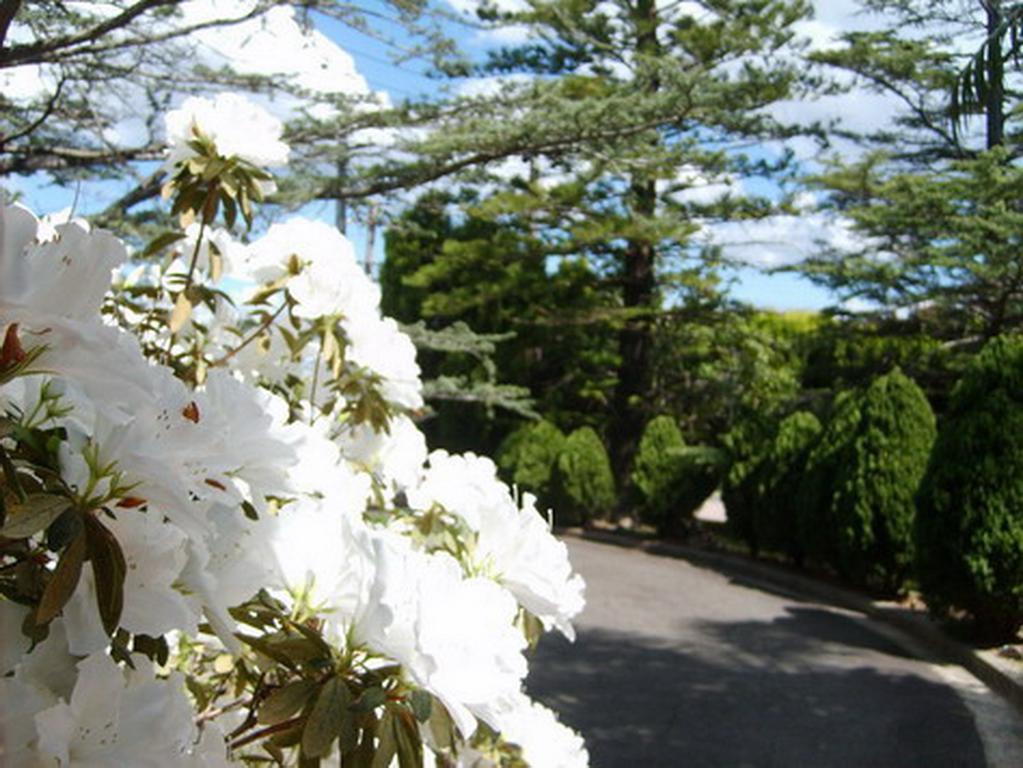 Guest house Tantarra Guest House - Pet Friendly