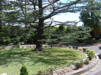 Tantarra Guest House - Pet Friendly 4*